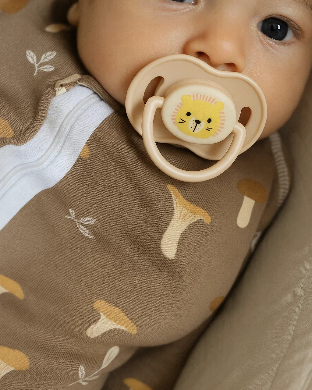 Соски пустышки